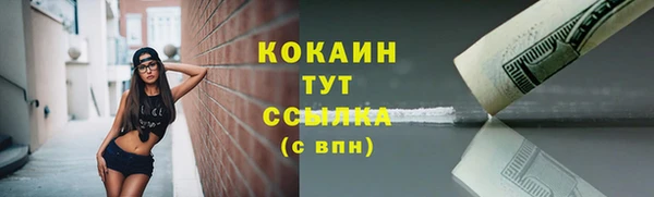 трава Абаза