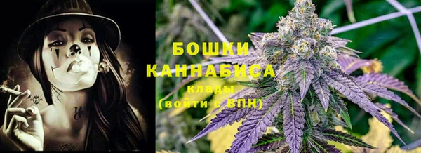 трава Абаза