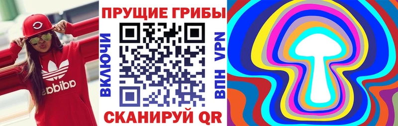 купить  сайты  Юрга  Галлюциногенные грибы Psilocybe 