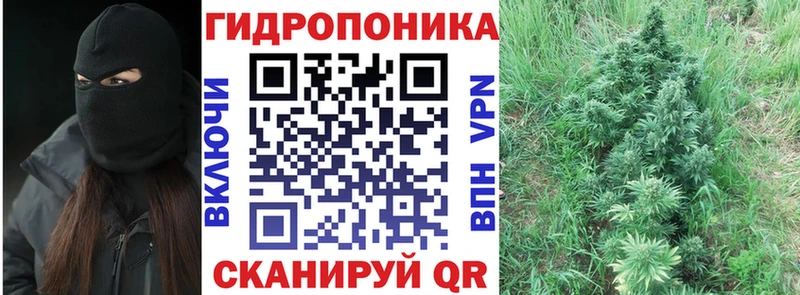 Каннабис VHQ  Юрга 